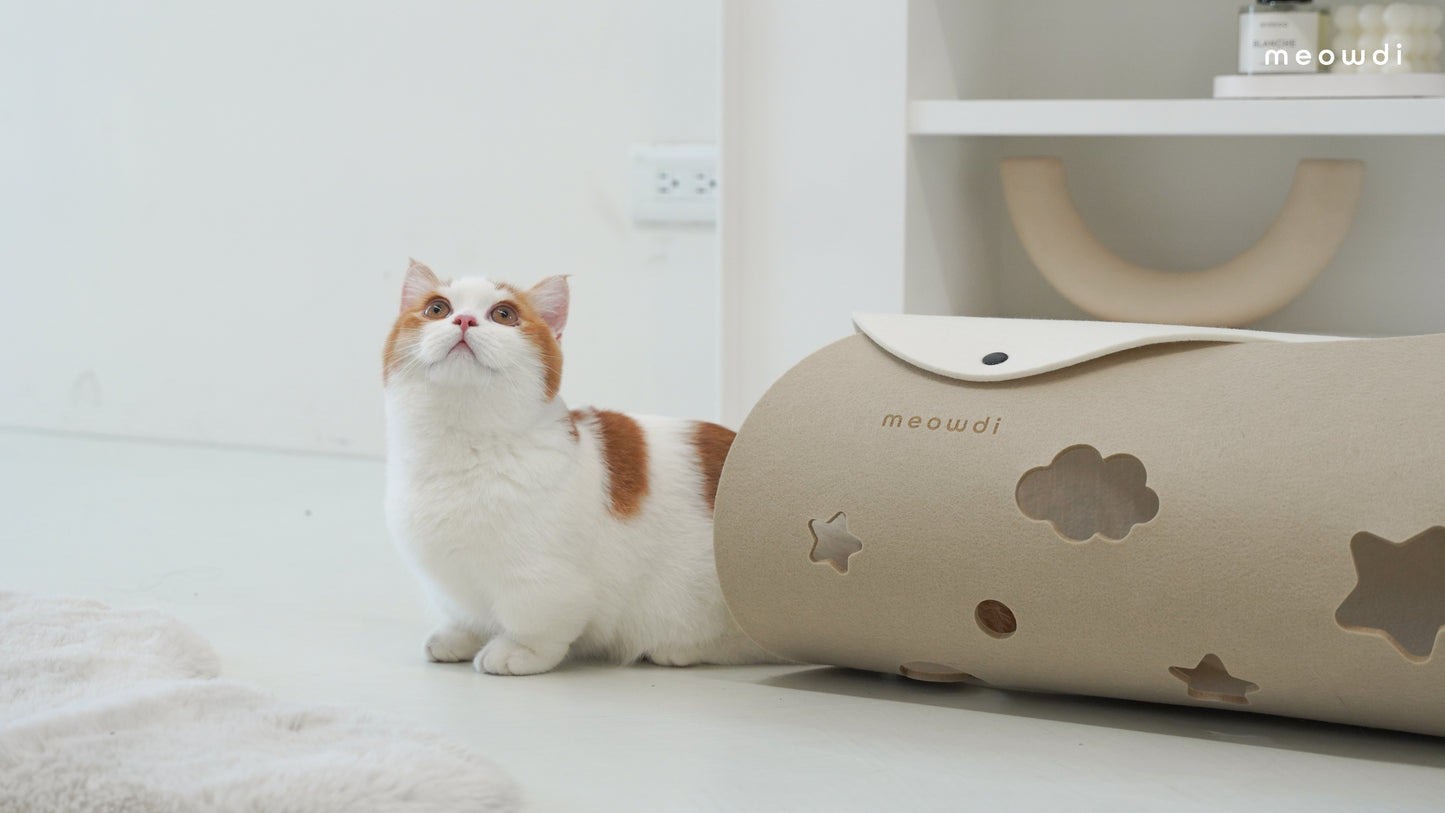 PREORDER – Hunting Cat Tunnel
