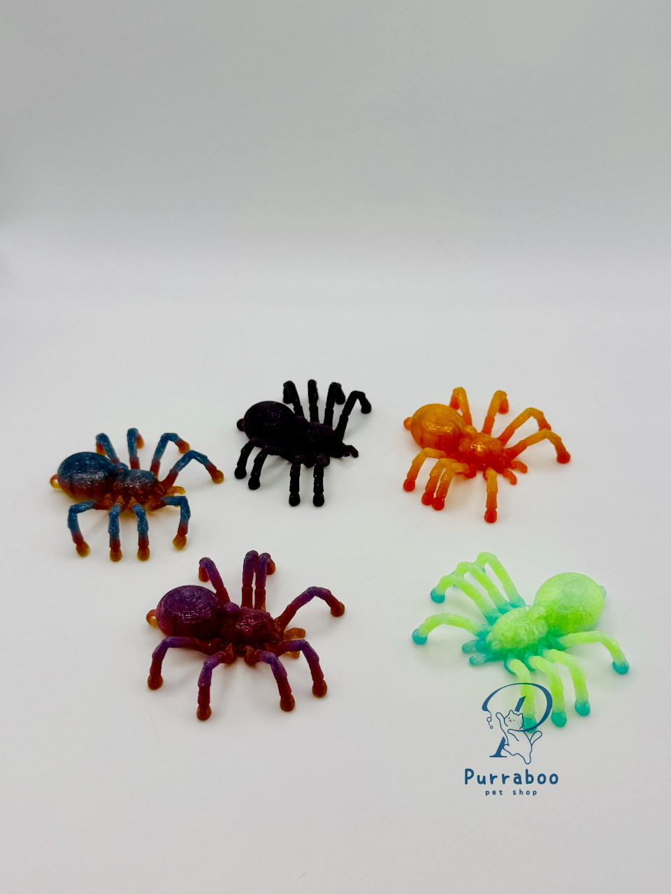 Spooky Spider
