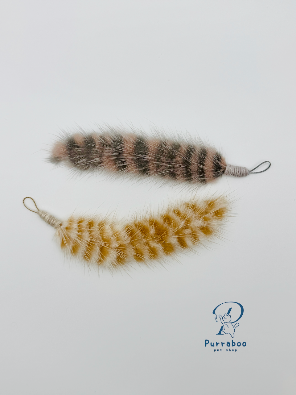 Raccoon Tail on the Run